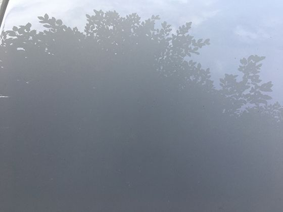 极地生态奇观：探寻冰岛火山苔藓的特殊生存策略与演化历程