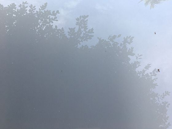 当月光遇见水雾：从物理学角度剖析月虹转瞬即逝的美丽
