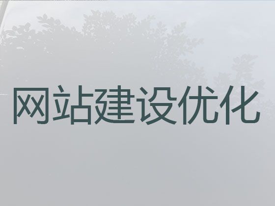 海西iphone软件开发@品牌网站定制，专业团队