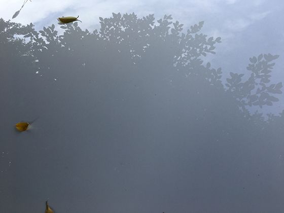 舞蹈服饰与道具的学问：不同舞蹈风格对应的服装搭配与文化寓意