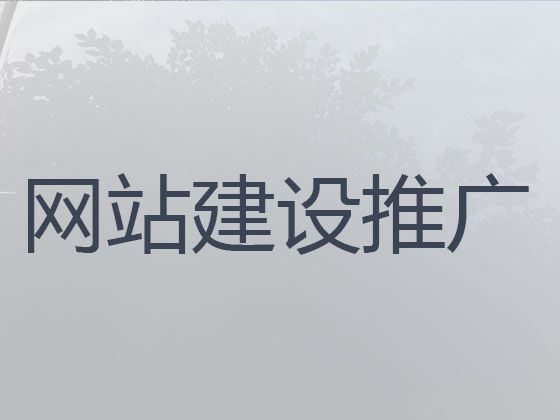 东莞市精准获客系统&企业网站定制开发，专业设计团队
