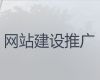 东莞市精准获客系统&企业网站定制开发，专业设计团队