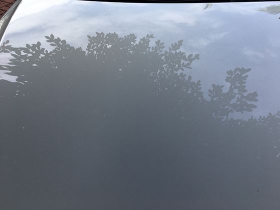 人类活动对欧洲蜜蜂栖息地的影响：现状与保护对策