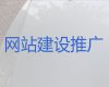 拉萨市AI数字人直播带货&网站开发，网站制作