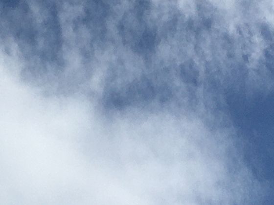 古人不知道的秘密：三角梅背后那些跨越千年的文化故事