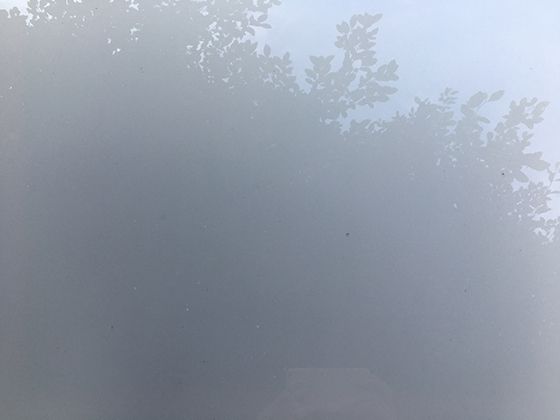 垃圾袋异味难除？教你几招科学存放和使用的小技巧