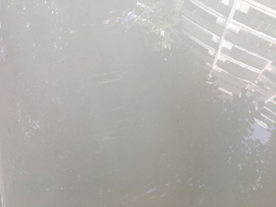 不同季节里睡莲的生长状态变化及对应的自然环境因素