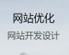 乌鲁木齐市AI数字人制作小视频#专业网站开发服务，专业开发团队