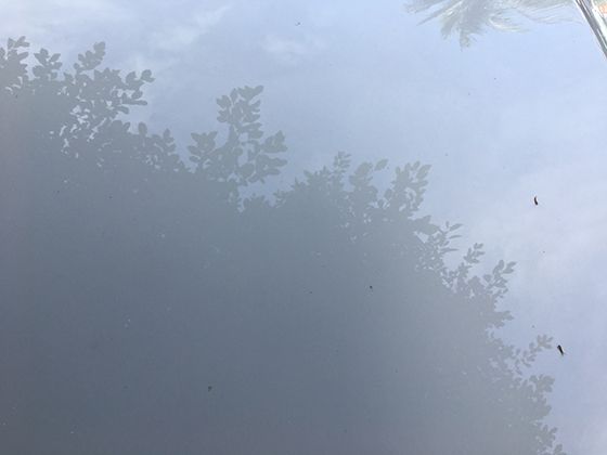黄道光观测条件及相关自然现象科普