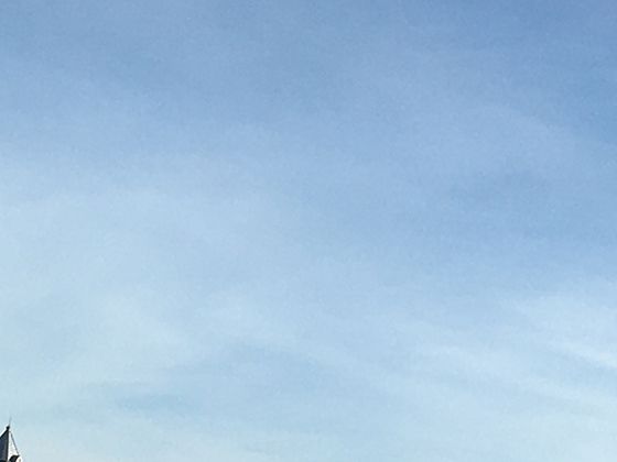 西兰花小花球的数学密码：分形几何模型与自然生长规律解析