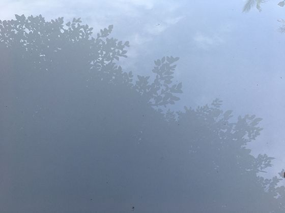 新型电表如何让我们的用电习惯变得更透明？