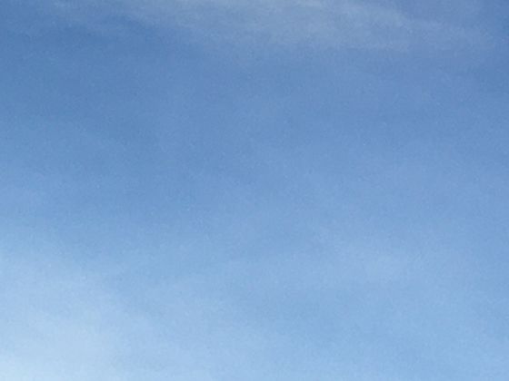 河鳗洄游千里的生命密码：解密生物学中令人惊叹的导航奇迹