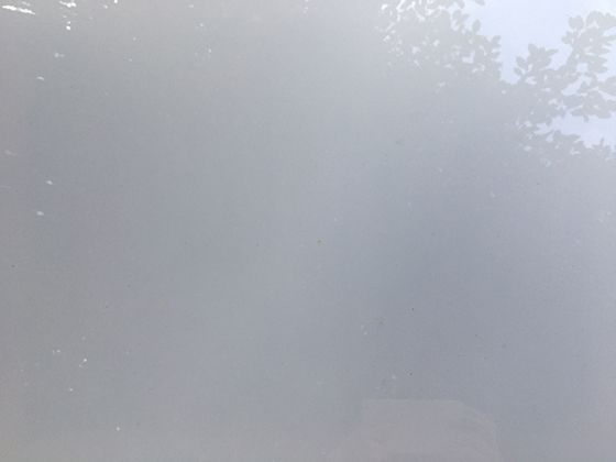 雪藻现象背后的科学：大自然神奇的低温生命形态探索
