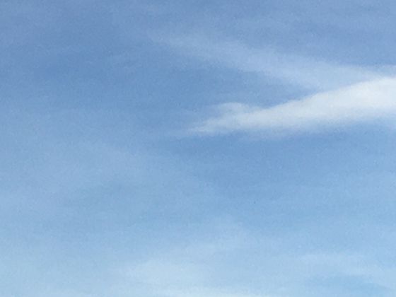 从种子到发芽：探索豆芽生长过程中营养变化的生命奇迹与奥秘。